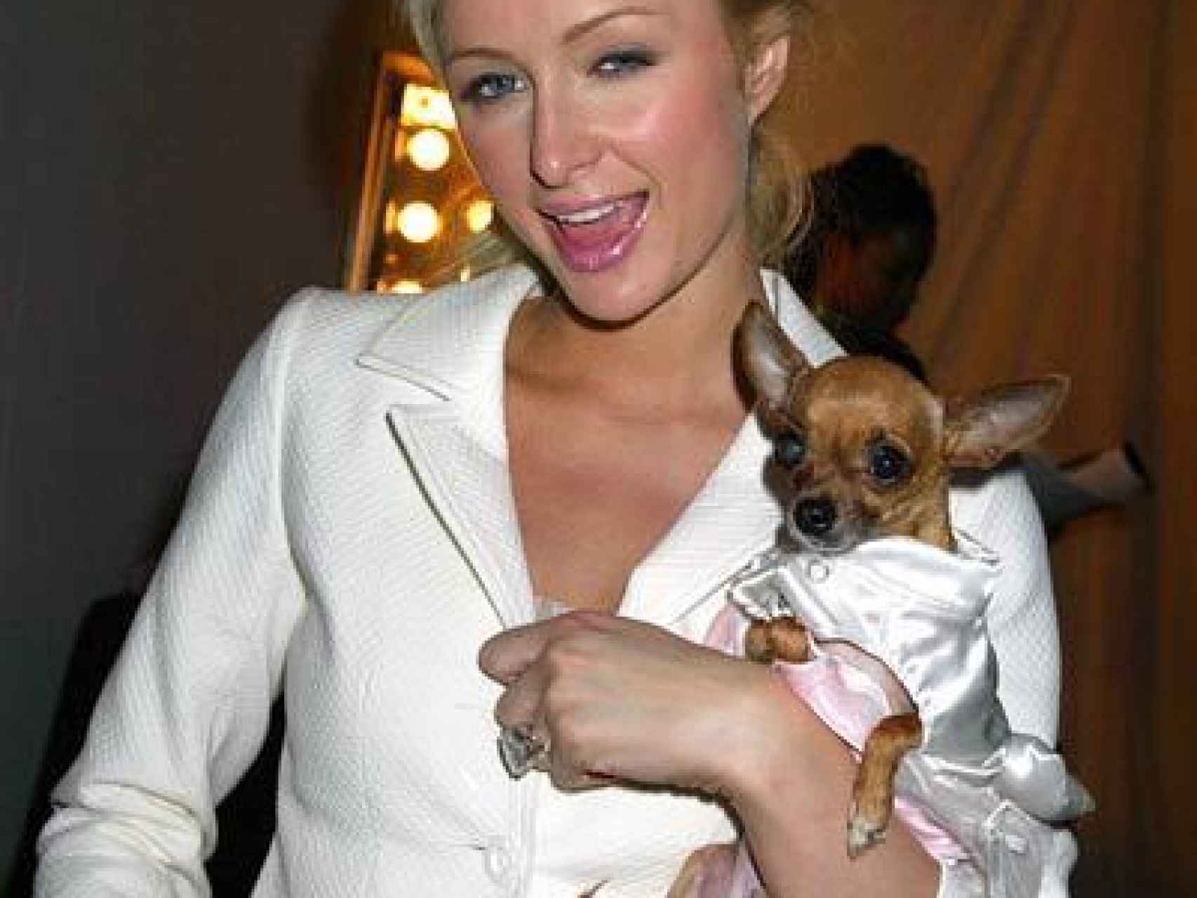 Paris Hilton y su anterior chiguagua