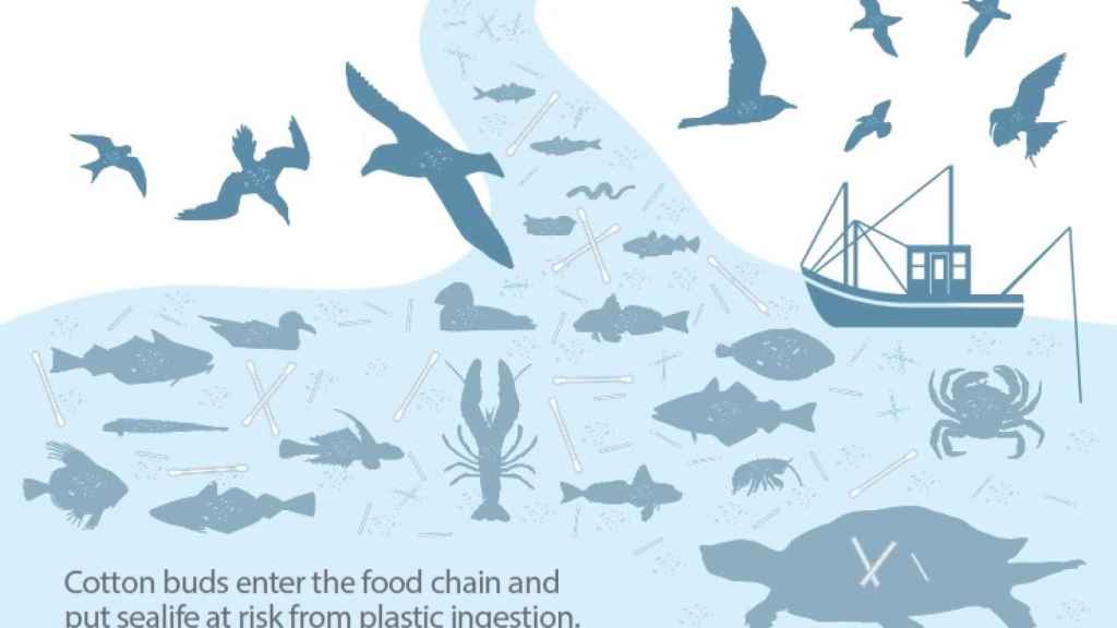Las especies a las que los bastoncillos vertidos al mar ponen en peligro.