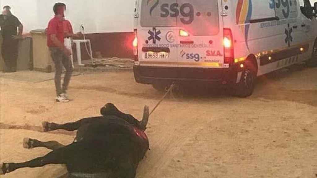 Ambulancia para arrastrar un toro moribundo